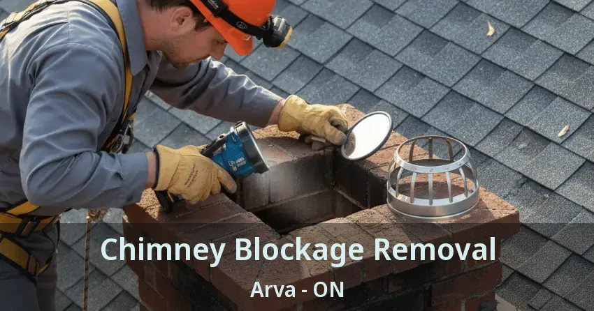 Chimney Blockage Removal Arva - ON