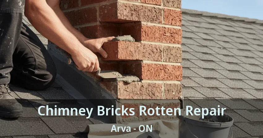Chimney Bricks Rotten Repair Arva - ON