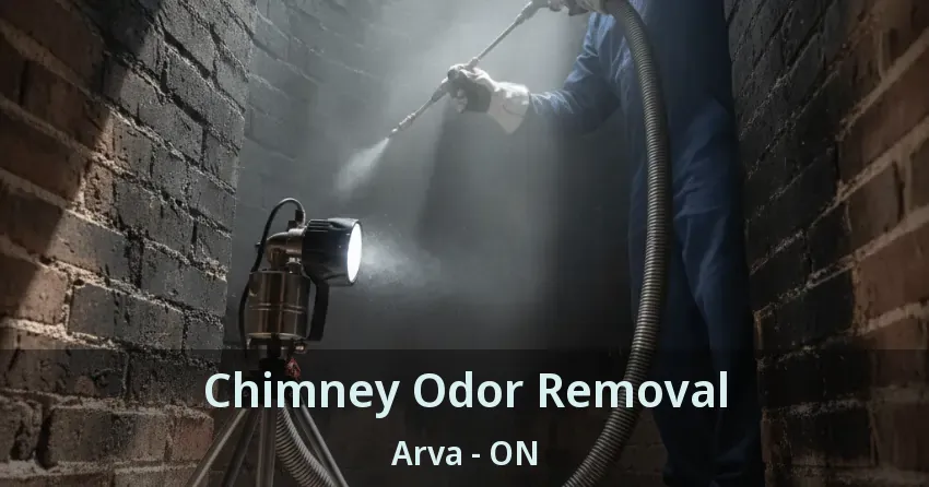 Chimney Odor Removal Arva - ON