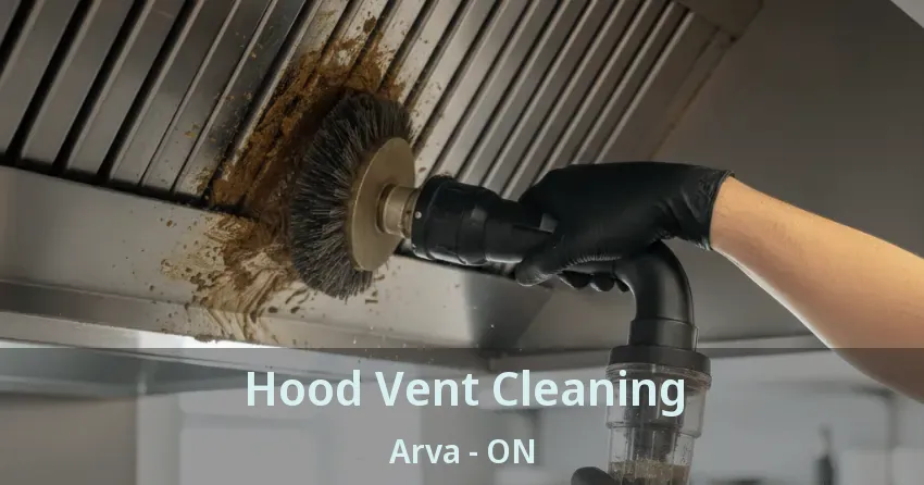 Hood Vent Cleaning Arva - ON