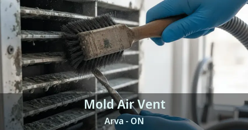 Mold Air Vent Arva - ON