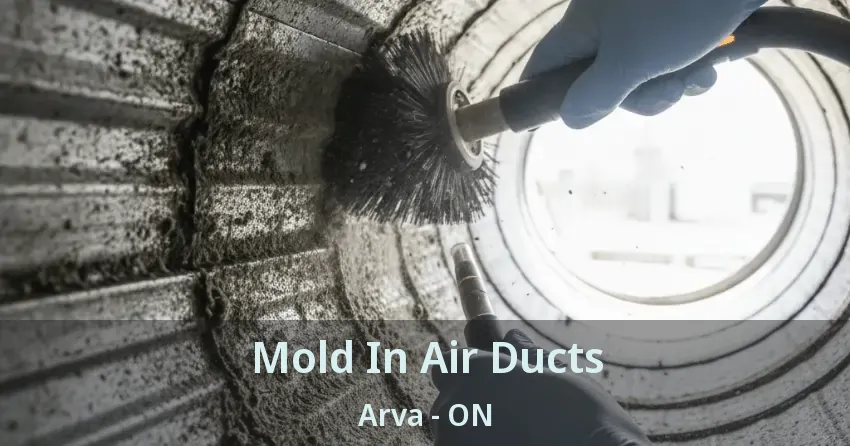 Mold In Air Ducts Arva - ON