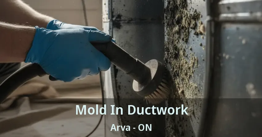 Mold In Ductwork Arva - ON