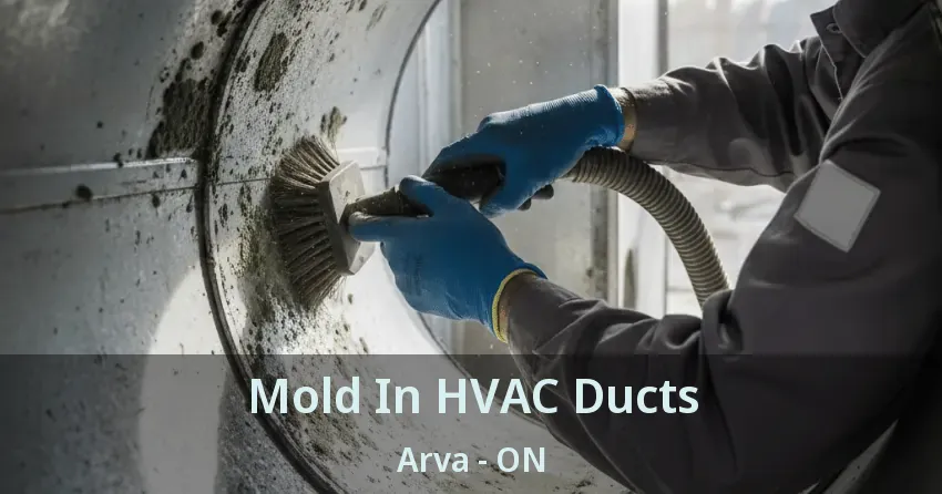 Mold In HVAC Ducts Arva - ON
