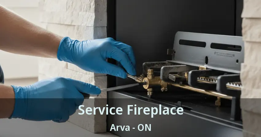 Service Fireplace Arva - ON