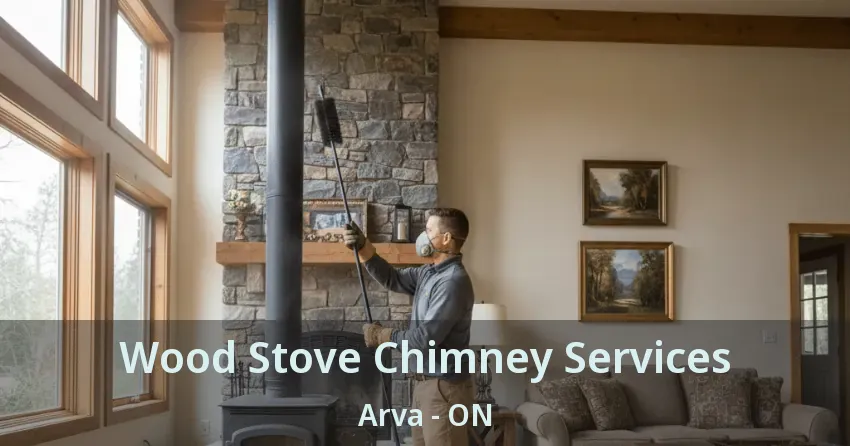 Wood Stove Chimney Services Arva - ON
